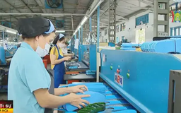 6 giải pháp hiện thực hóa mục tiêu tăng trưởng 8%