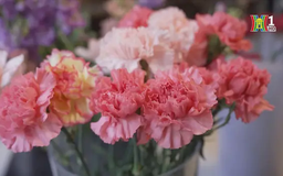 Hương vị Valentine ở cửa hàng hoa ăn được tại Pháp