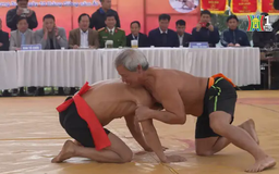 Sới vật ngày xuân