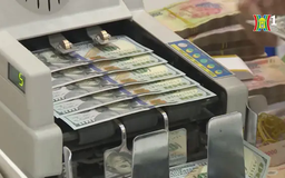 Tỷ giá USD tăng mạnh