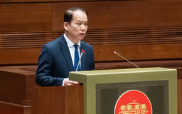 Đề xuất 'Kỳ họp bất thường' thành 'Kỳ họp không thường kỳ'