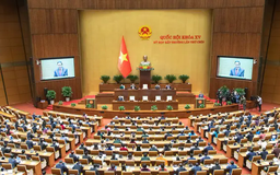 Quốc hội cho ý kiến về quy định tạm đình chỉ ĐBQH