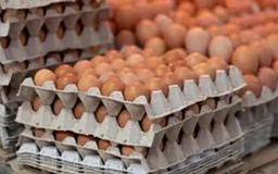 Mỹ: Giá trứng cao kỷ lục vì dịch cúm