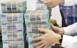 Ngân hàng Nhà nước hút ròng hơn 19.000 tỷ đồng