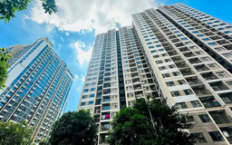 Giá chung cư Hà Nội và TP.HCM chững lại