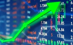 Cổ phiếu TNV đột ngột tăng hơn 219% trong 7 ngày