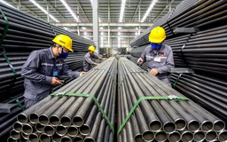Chuẩn bị ứng phó các biện pháp phòng vệ thương mại