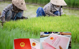Mức nộp tiền chuyển đổi đất trồng lúa sang phi nông nghiệp