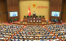 Đề xuất trao thêm quyền cho Chủ tịch UBND các cấp