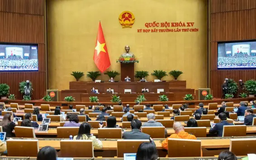 Tổ chức chính quyền địa phương cần xem xét thận trọng