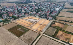 Sóc Sơn đấu giá lại khu đất 30 tỷ đồng/m2