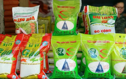 Giá gạo bán lẻ vẫn ở mức đỉnh