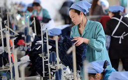 Sẽ xây dựng nghị quyết riêng về phát triển kinh tế tư nhân