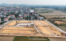 Đấu giá lại thửa đất từng được trả 30 tỷ đồng/m²