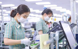 50% doanh nghiệp FDI báo lỗ, Bộ Tài chính muốn thanh tra