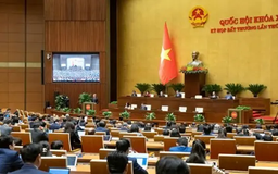 Quốc hội thông qua nhiều Luật, Nghị quyết quan trọng