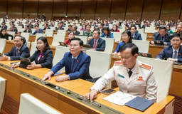 Miễn trách nhiệm dân sự trong quá trình nghiên cứu khoa học