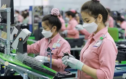 Việt Nam sẵn sàng trước biến động thương mại toàn cầu
