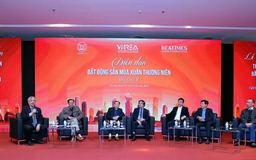 Chưa xử lý triệt để tình trạng 'làm giá' bất động sản