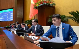 Thông qua cơ chế đặc thù phát triển đường sắt đô thị