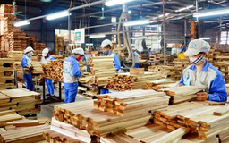 Ngành gỗ phấn đấu xuất khẩu 18 tỷ USD