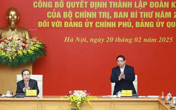 Thành lập đoàn kiểm tra Đảng ủy Chính phủ và Đảng ủy Quốc hội