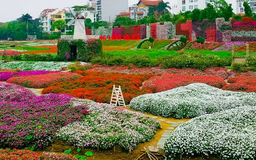 Sắc xuân trên cánh đồng hoa