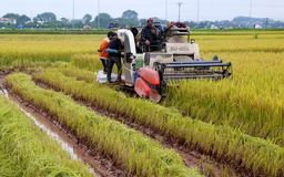 Động lực làm giàu từ nông thôn mới | Nông nghiệp Nông thôn | 20/02/2025