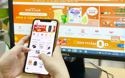 120 website, 44 ứng dụng thương mại điện tử phải giải trình