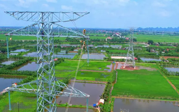 Phấn đấu hoàn thành dự án 500 kV Lào Cai - Vĩnh Yên trước 30/8