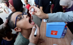 WHO nối lại chương trình tiêm chủng cho trẻ em Gaza