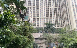 Homecity: Nỗi lo an toàn cháy nổ khi đường bị thu hẹp