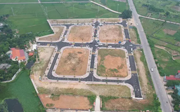 Đất đấu giá Phúc Thọ, thửa cao nhất 46,8 triệu đồng/m²