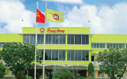 Rạng Đông Holding bị yêu cầu phá sản