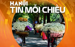 Những mùa hoa tạo sức hút cho du lịch Hà Nội phát triển | Hà Nội tin mỗi chiều