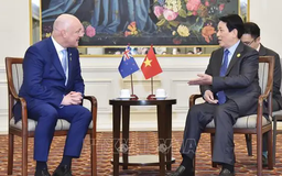 Thủ tướng New Zealand hội kiến Chủ tịch nước Lương Cường
