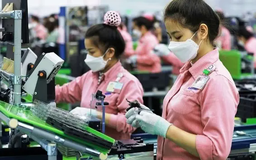 AI và bán dẫn Việt Nam đang hút vốn ngoại