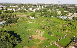 Hà Nội bổ sung 14 dự án thu hồi đất năm 2025