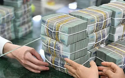 Năm 2025, dự kiến dự nợ cho thuê tài chính tăng 18-20%