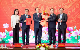 Thành lập 11 Đảng bộ trực thuộc Đảng ủy Quốc hội