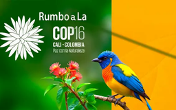 COP16 đạt thỏa thuận 200 tỷ USD để bảo tồn thiên nhiên