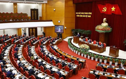 Kết luận số 127 của Bộ Chính trị, Ban Bí thư