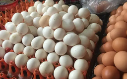 Giá trứng gà thấp kỷ lục, người mua vẫn thờ ơ