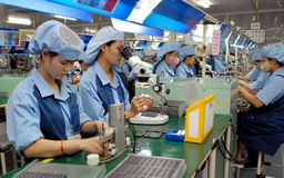 Cơ chế vượt trội cho kinh tế tư nhân