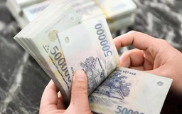 Chủ tịch HĐQT doanh nghiệp nhà nước nhận lương dưới 80 triệu