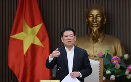 Phó Thủ tướng chỉ đạo thanh tra, xử lý hành vi buôn lậu vàng