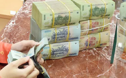 Doanh nghiệp phải cung cấp thông tin số thuế TNCN nộp thay