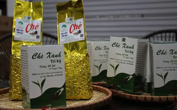 Thăng trầm với nghề làm chè sạch | Con đường doanh nhân | 02/03/2025