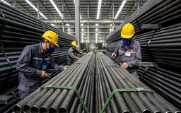 Doanh nghiệp Việt ứng phó với xu hướng bảo hộ thương mại