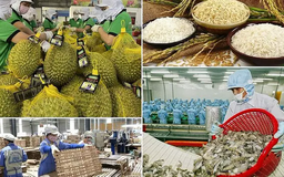 Xuất khẩu nông lâm thủy sản đạt hơn 9 tỷ USD
